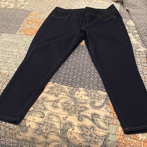 Venezia from Lane Bryant Dark Wash Jeggings